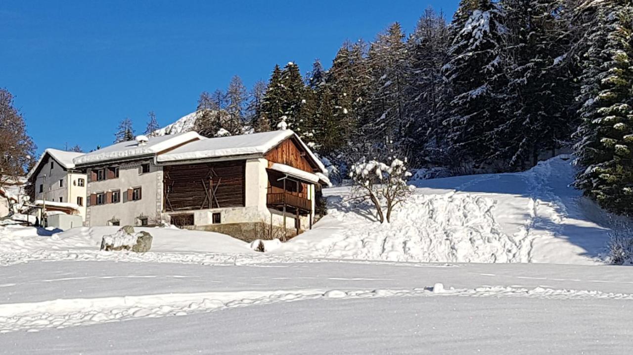 Guardamunt Villa Scuol Kültér fotó